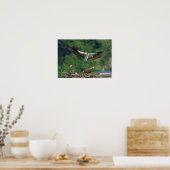 滑走路澄ん ポスター (キッチン)