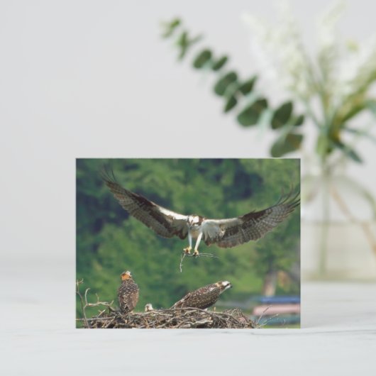 滑走路澄ん ポストカード (スタンド正面)