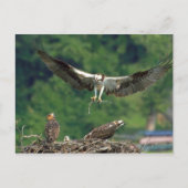 滑走路澄ん ポストカード (正面)