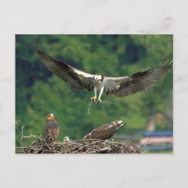 滑走路澄ん ポストカード