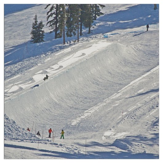 滑降競技の冬場面 ファブリック (見本)