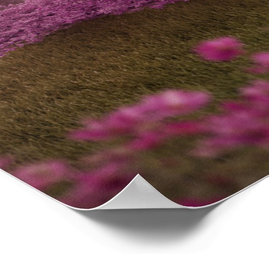 滝とさくらんぼの木のまわりに々湖 ポスター (角)