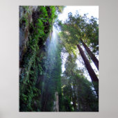 滝と崖 ポスター (正面)