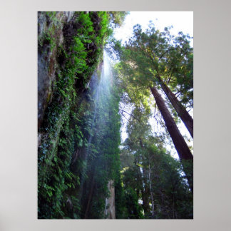 滝と崖 ポスター