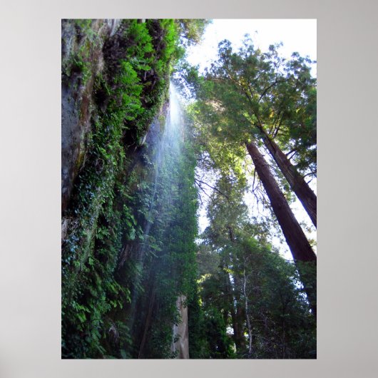 滝と崖 ポスター (正面)