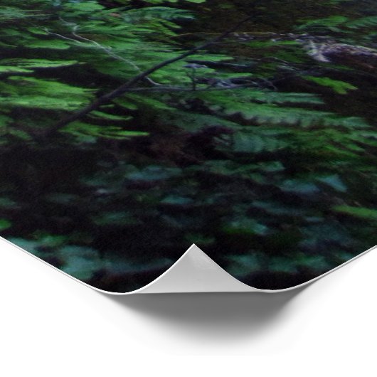 滝と崖 ポスター (角)