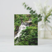 滝のはがき ポストカード (スタンド正面)