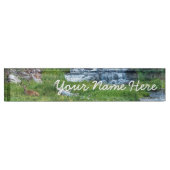 滝のように流れる川で金をもうける デスクネームプレート (正面)