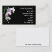 滝のように落ちる蘭の美しい 名刺 (正面/裏面)