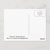 滝のカスケード ポストカード (裏面)