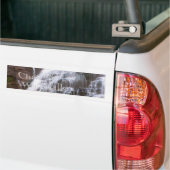 滝のバンパーステッカーの追跡 バンパーステッカー (トラック上)