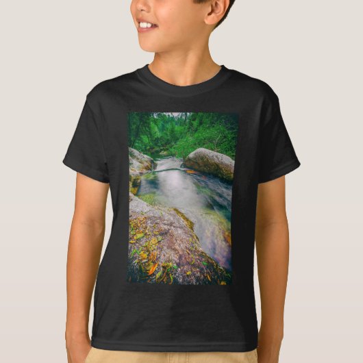 滝の上流の池のクローズアップ Tシャツ (正面)