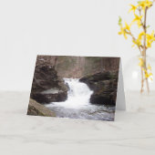 滝の同情カード カード (黄色い花)