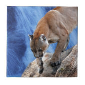 滝の山獅子 タイル (正面)