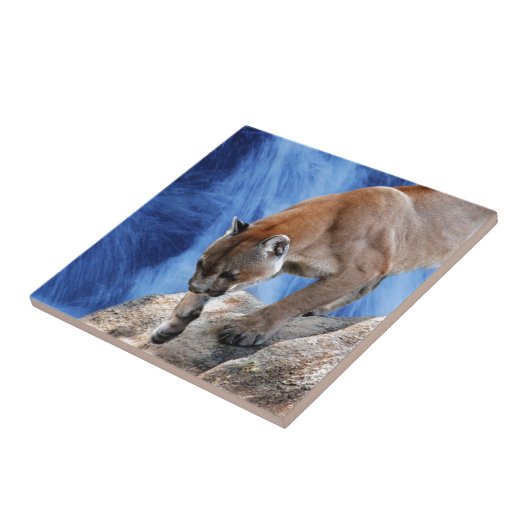 滝の山獅子 タイル (側面)