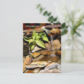 滝の池 ポートシャーロット FL ポストカード (スタンド正面)