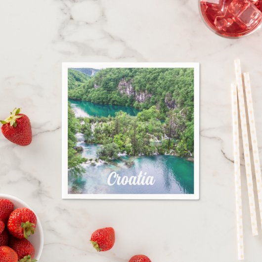 滝の滝の滝の滝クロアチアのプリトヴィツレイクス公園 スタンダードカクテルナプキン (インサイチュ)