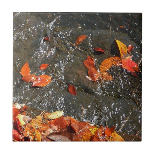 滝の紅葉 秋の写真 タイル (正面)