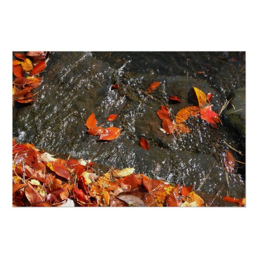 滝の紅葉 秋の写真 ポスター (正面)