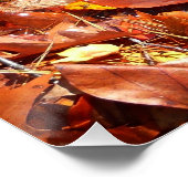 滝の紅葉 秋の写真 ポスター (コーナー)