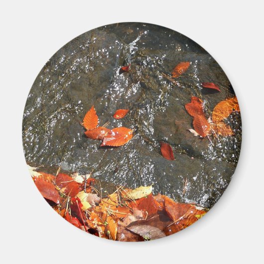 滝の紅葉 秋の写真 マグネット (正面)