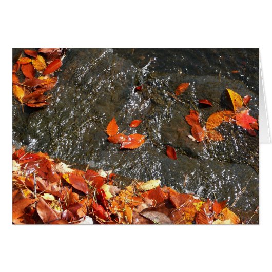 滝の紅葉 I 秋の写真 (正面横)