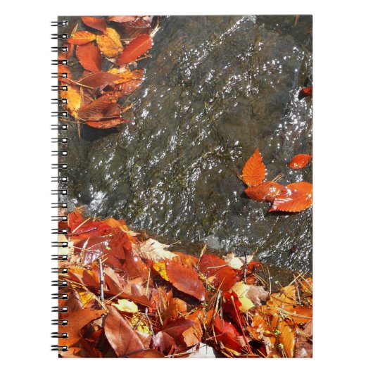 滝の紅葉 I 秋の写真 ノートブック (正面)