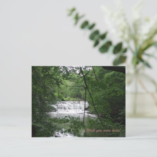 滝の自然 ポストカード (スタンド正面)