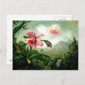 滝の近くの愛、蘭とハミングバード ポストカード (正面/裏面)