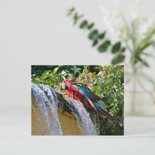 滝の隣の緑の翼のマカオ シーズンポストカード (スタンド正面)