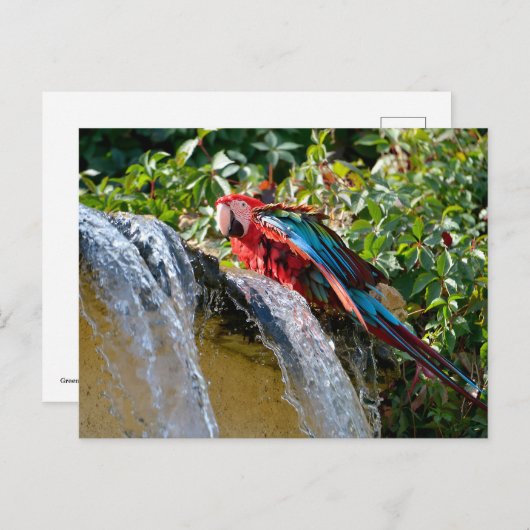 滝の隣の緑の翼のマカオ シーズンポストカード (正面/裏面)