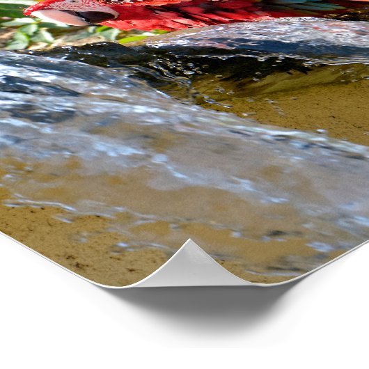 滝の隣の緑の翼のマカオ ポスター (角)