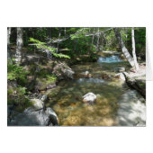 滝のPemigewasset River III (正面横)