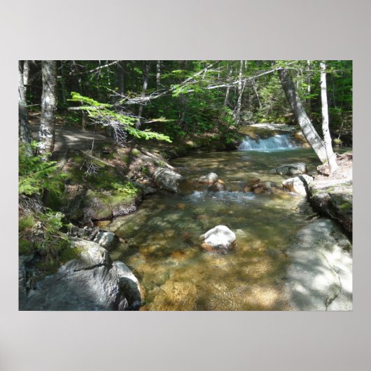 滝のPemigewasset River III ポスター (正面)