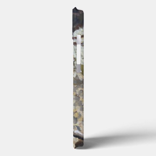 滝のPorthmeorのビーチSt Ives Case-Mate iPhoneケース (裏面 / 左)