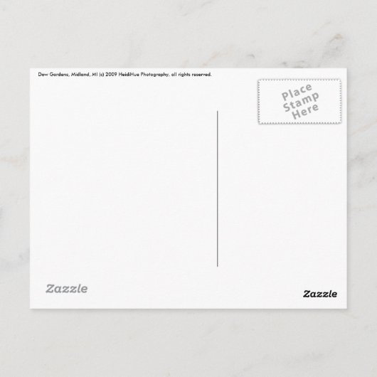 滝はがき ポストカード (裏面)