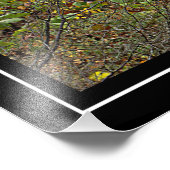 滝や秋の葉 フォトプリント            (角)