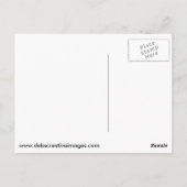 滝や秋の葉 ポストカード (裏面)