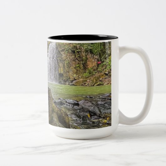滝オアシスマグ – 緑の森とロッキーストラ ツートーンマグカップ (右)