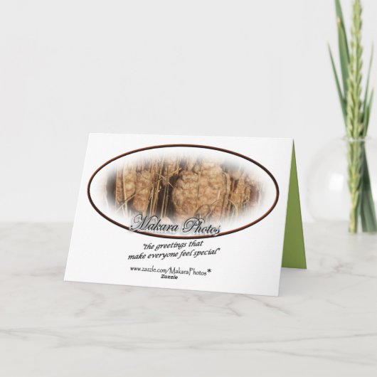 滝カスタマイズ カード (裏面)