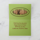 滝カスタマイズ カード (内部)