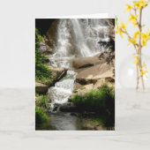 滝カード カード (黄色い花)