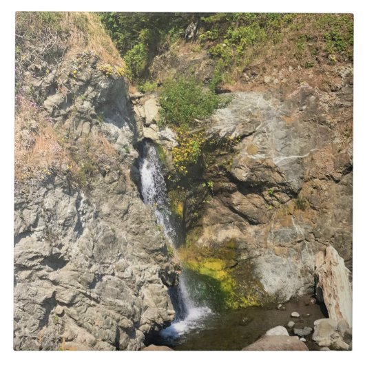 滝ズアットシークレットビーチ、サミュエルH.ボードマン、OR タイル (正面)