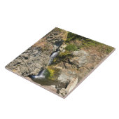 滝ズアットシークレットビーチ、サミュエルH.ボードマン、OR タイル (側面)