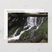 滝ズアットレッドウッド州パーク ポストカード (正面/裏面)