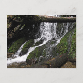 滝ズアットレッドウッド州パーク ポストカード