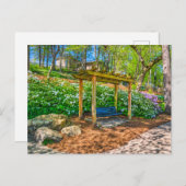 滝パーク、グリーンビルサウスカロライナ ポストカード (正面/裏面)