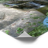 滝ポスター ポスター (角)