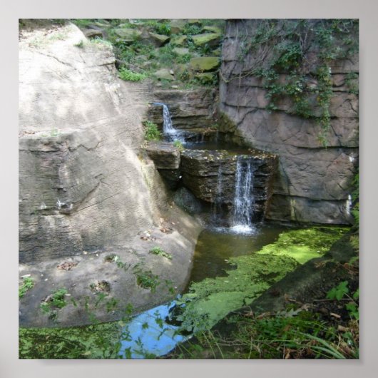 滝ポスター ポスター (正面)