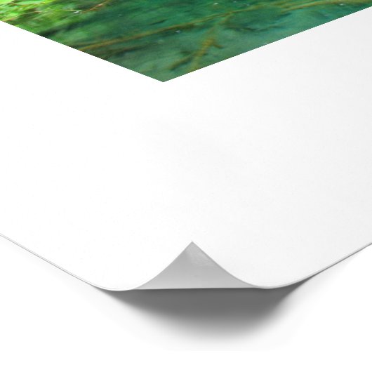 滝ポスター ポスター (角)